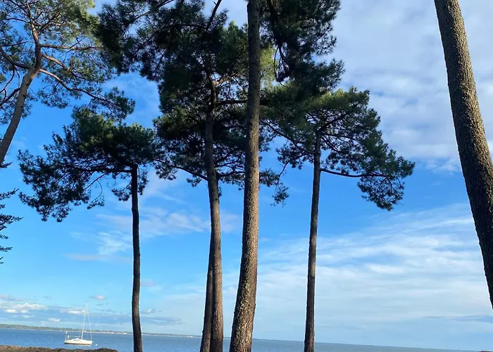 Aldeamento Turístico Cap Ferret Les 1 4*